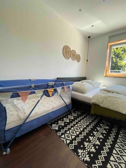 Gemuetliche Wohnung -Schwarzwald Neuweiler  Экстерьер фото