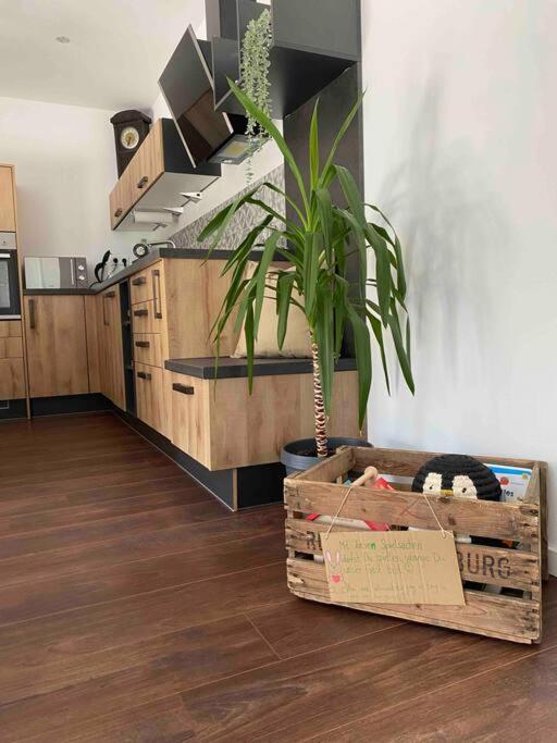 Gemuetliche Wohnung -Schwarzwald Neuweiler  Экстерьер фото